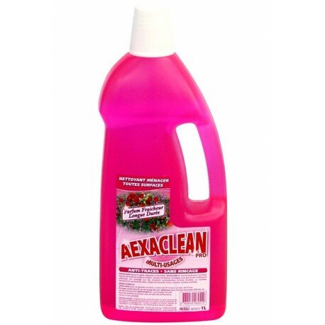 AEXACLEAN 1 L FRAICHEUR